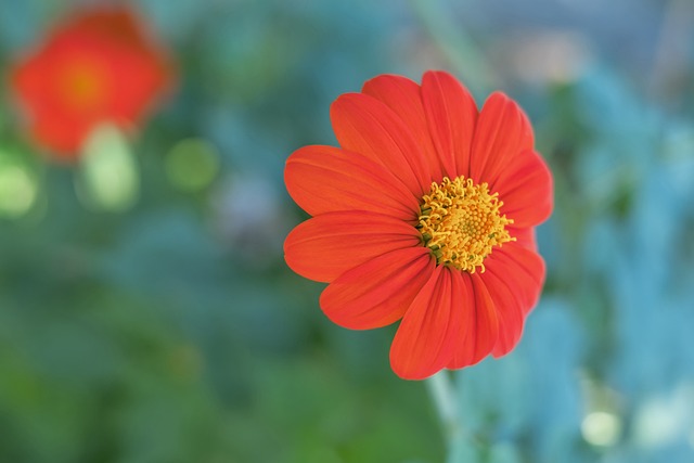 在即将到来 在即将到来