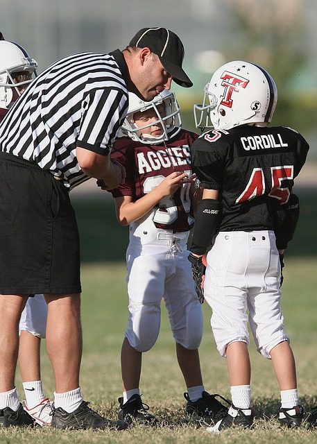 适用范围 适用范围