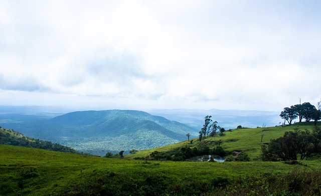 心理因素如 心理因素如