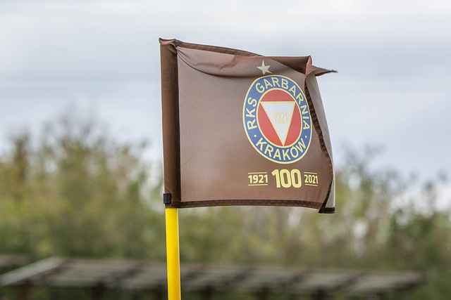 为之揪心 为之揪心