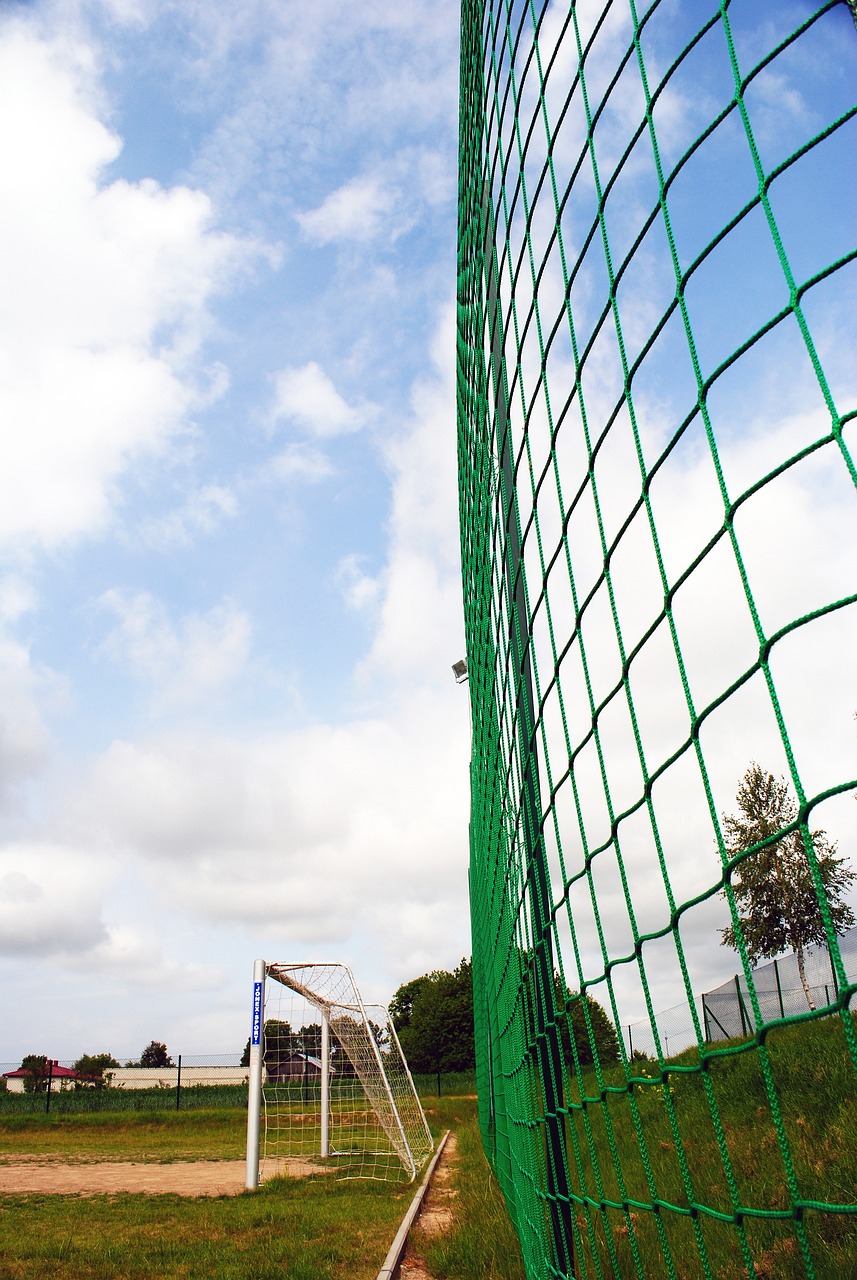 他们取得了 他们取得了