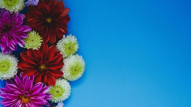 位关键球员 位关键球员