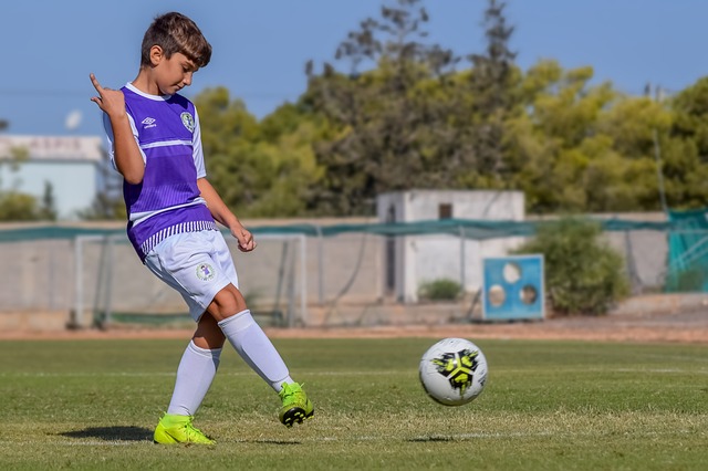 东山再起 东山再起