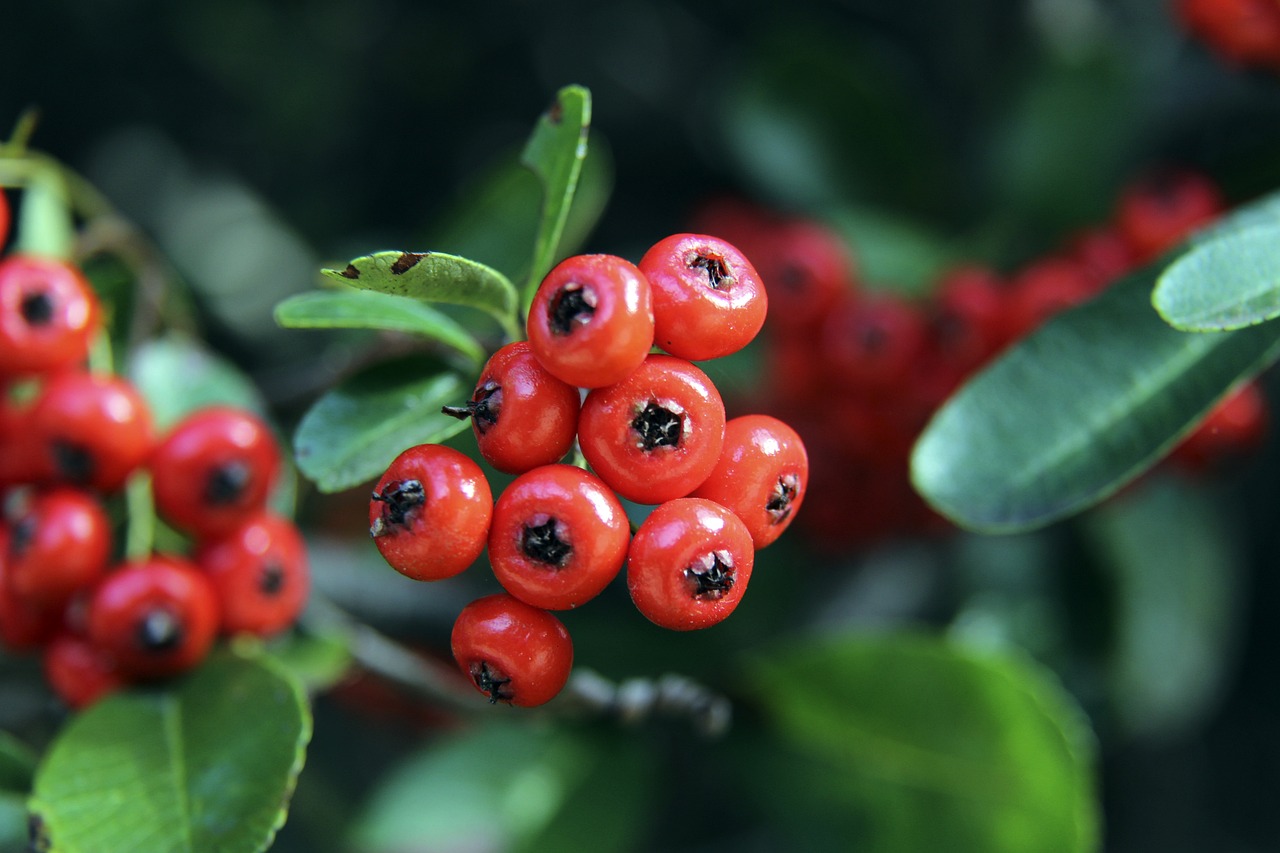 策略制定 策略制定