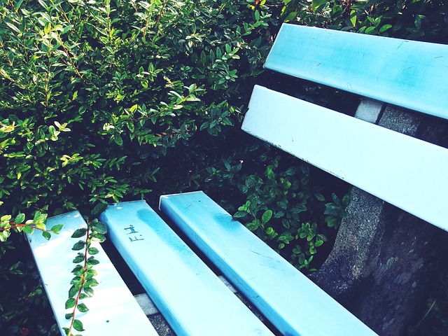 健康早间操 健康早间操